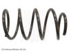 TOYOT 4813102840 Coil Spring